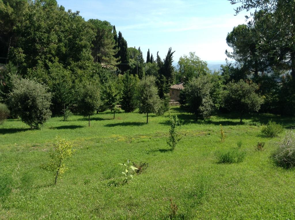 Le Romite Hotel San Gimignano Eksteriør billede